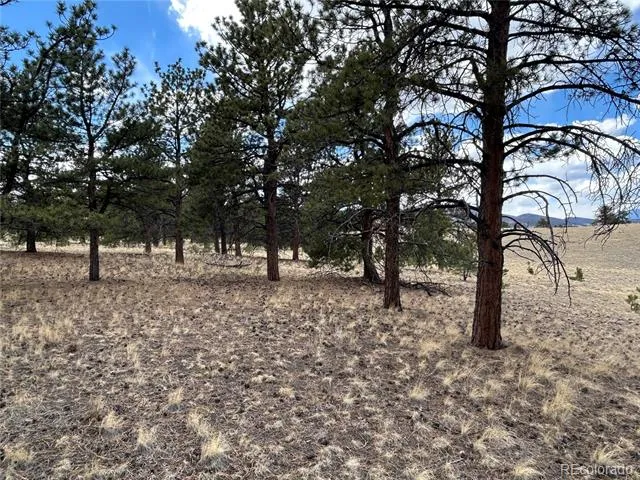 565 Brahma Circle Hartsel, CO 80449