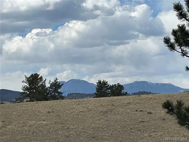 565 Brahma Circle Hartsel, CO 80449