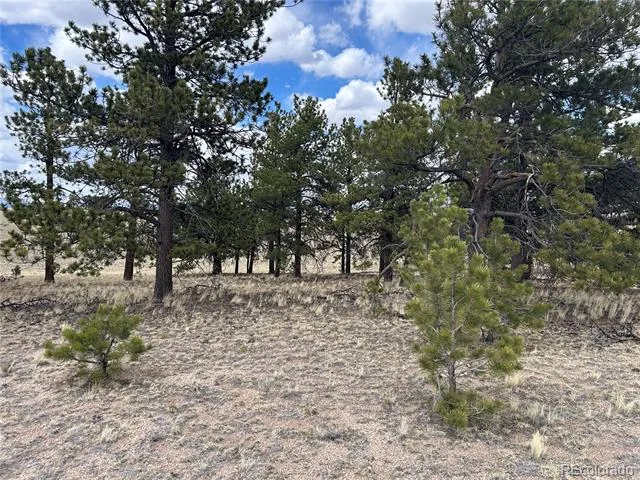 565 Brahma Circle Hartsel, CO 80449