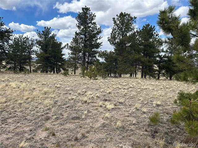 565 Brahma Circle Hartsel, CO 80449