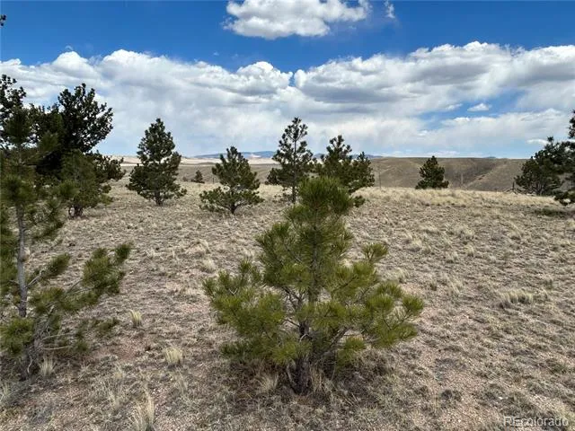 565 Brahma Circle Hartsel, CO 80449