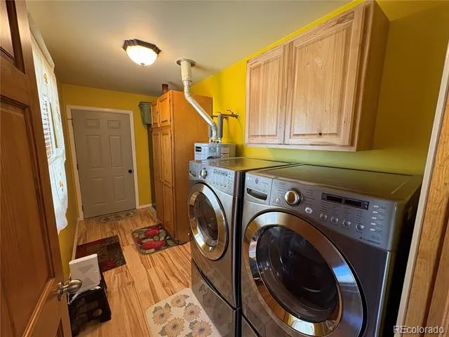 16602 Holly Court Buena Vista, CO 81211