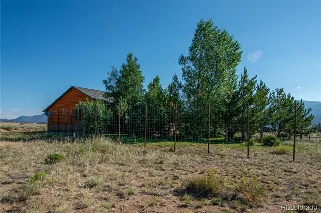 16602 Holly Court Buena Vista, CO 81211