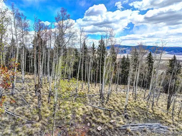 755 Selkirk Lane Jefferson, CO 80456