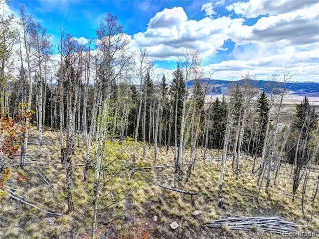 755 Selkirk Lane Jefferson, CO 80456
