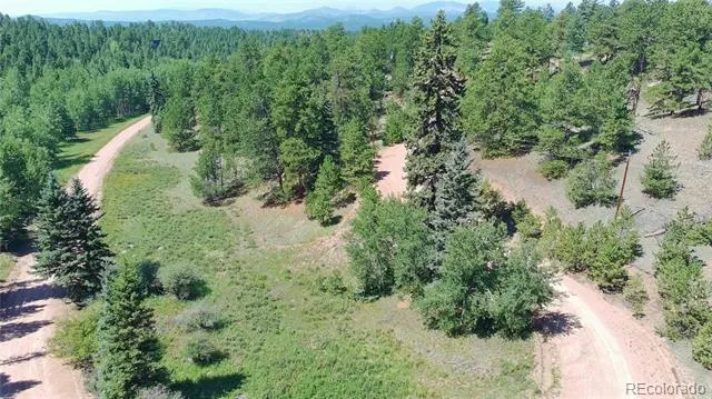 835 Spring Valley Lane Florissant, CO 80816