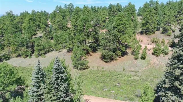 835 Spring Valley Lane Florissant, CO 80816