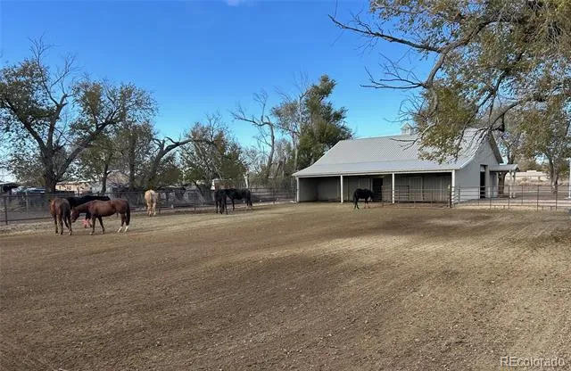 409 W Vinson Street Holly, CO 81047