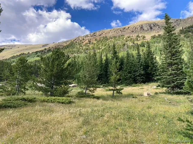 4400 4th of July Road Nederland, CO 80466