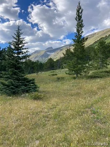 4400 4th of July Road Nederland, CO 80466