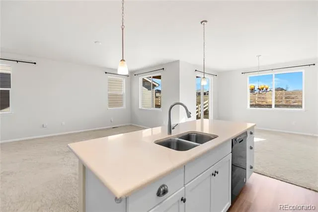 4505 Cholla Trail Castle Rock, CO 80104