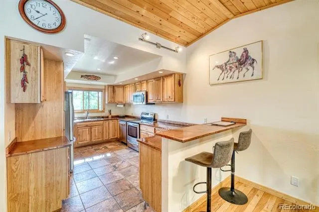 29240 Pinon Circle Drive Buena Vista, CO 81211