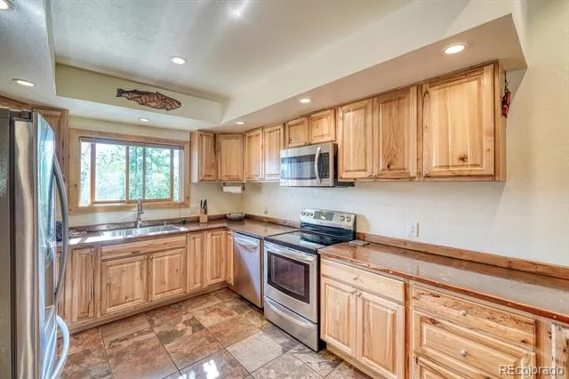 29240 Pinon Circle Drive Buena Vista, CO 81211