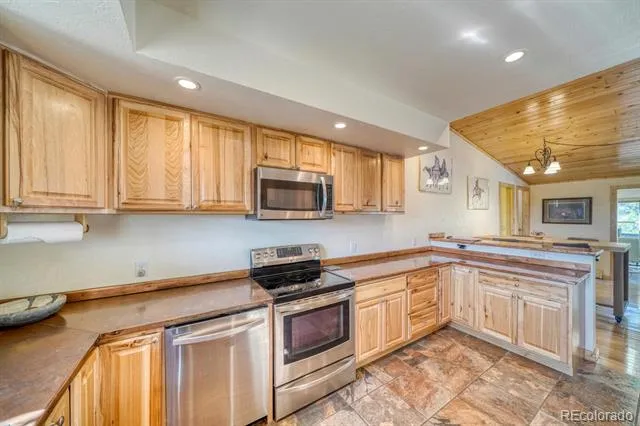 29240 Pinon Circle Drive Buena Vista, CO 81211