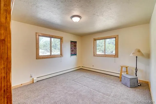 29240 Pinon Circle Drive Buena Vista, CO 81211