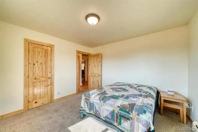 29240 Pinon Circle Drive Buena Vista, CO 81211