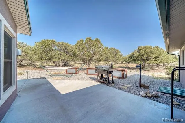 29240 Pinon Circle Drive Buena Vista, CO 81211
