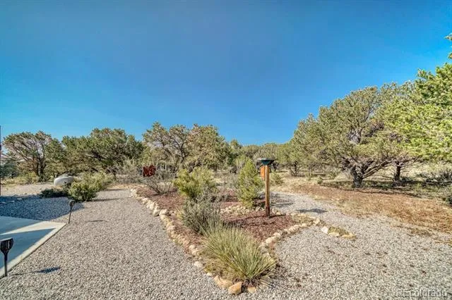 29240 Pinon Circle Drive Buena Vista, CO 81211