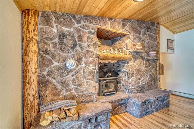 29240 Pinon Circle Drive Buena Vista, CO 81211