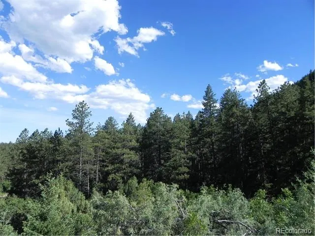 8117 Acoma Drive Larkspur, CO 80118