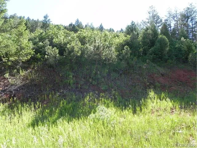 8117 Acoma Drive Larkspur, CO 80118