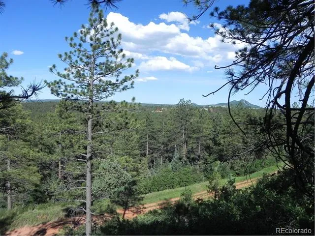 8117 Acoma Drive Larkspur, CO 80118