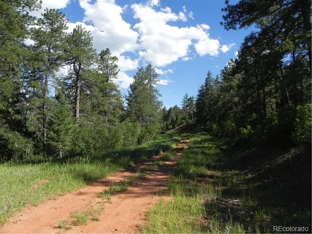 8117 Acoma Drive Larkspur, CO 80118