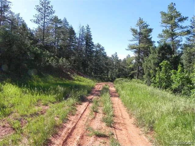 8117 Acoma Drive Larkspur, CO 80118