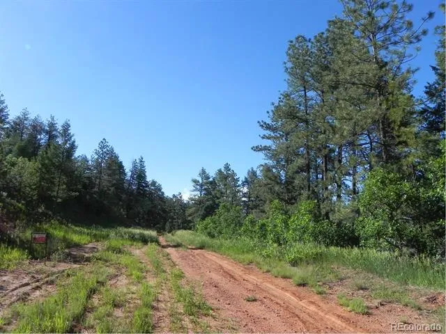8117 Acoma Drive Larkspur, CO 80118