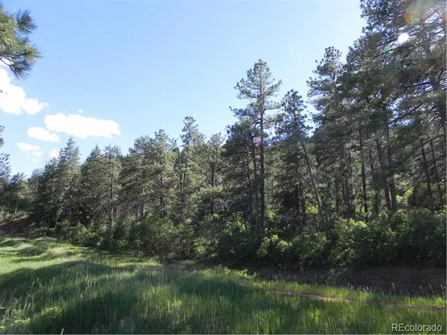 8117 Acoma Drive Larkspur, CO 80118