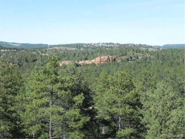 8117 Acoma Drive Larkspur, CO 80118