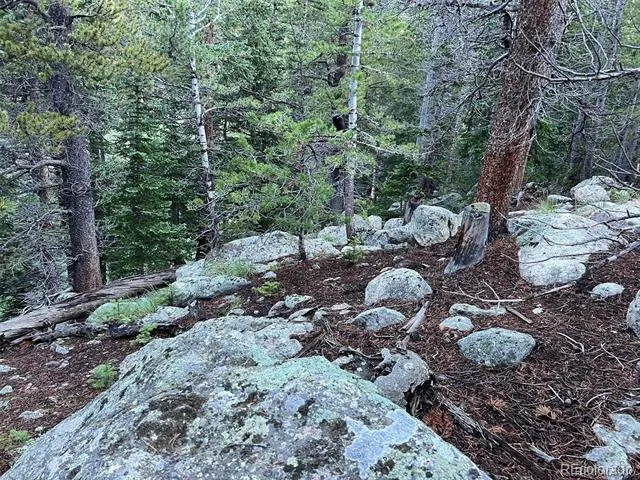 111 Lake Road Idaho Springs, CO 80452