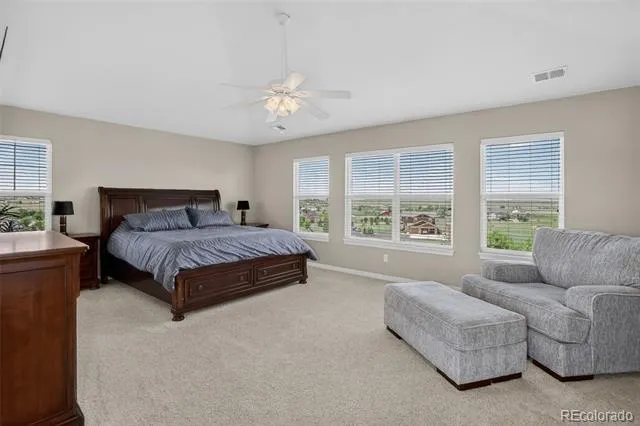 3319 Paintbrush Lane Parker, CO 80138