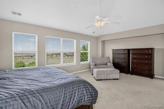 3319 Paintbrush Lane Parker, CO 80138