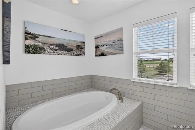 3319 Paintbrush Lane Parker, CO 80138