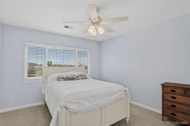 3319 Paintbrush Lane Parker, CO 80138