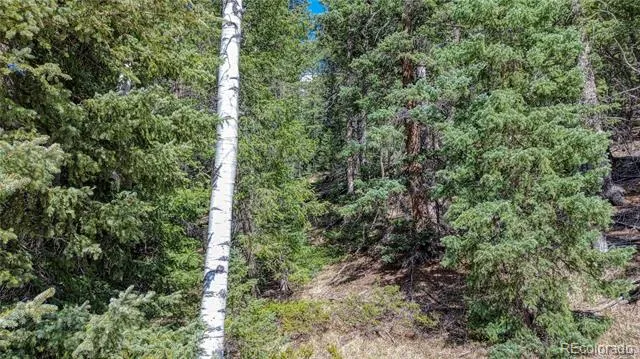 3075 Mountain Estates Road Florissant, CO 80816