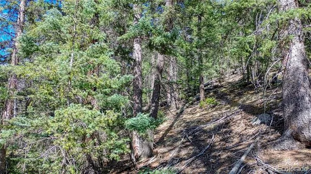 3075 Mountain Estates Road Florissant, CO 80816