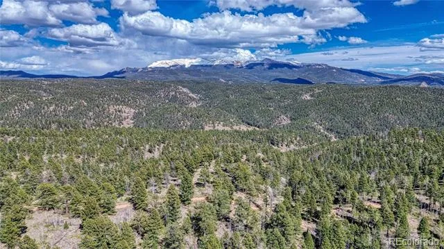 3075 Mountain Estates Road Florissant, CO 80816