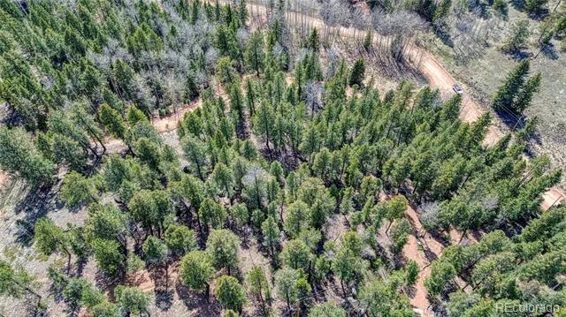 3075 Mountain Estates Road Florissant, CO 80816