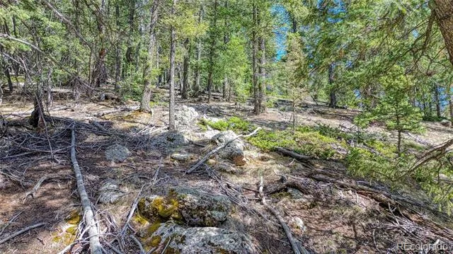 3075 Mountain Estates Road Florissant, CO 80816