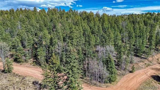 3075 Mountain Estates Road Florissant, CO 80816
