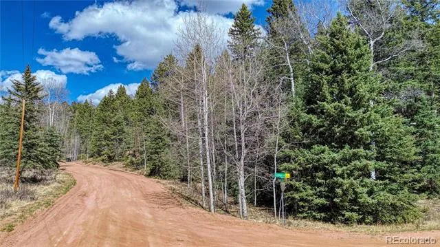 3075 Mountain Estates Road Florissant, CO 80816