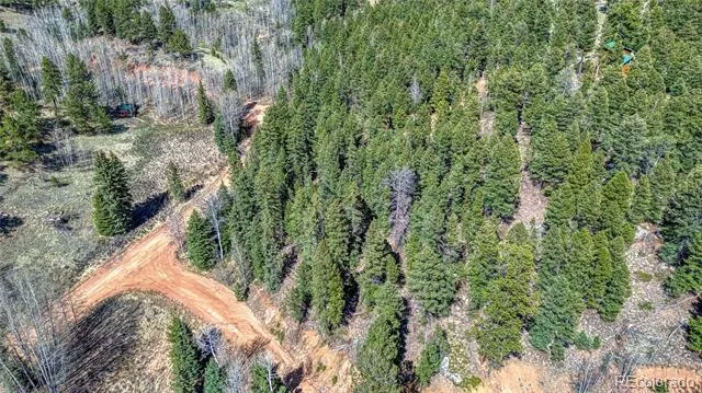 3075 Mountain Estates Road Florissant, CO 80816