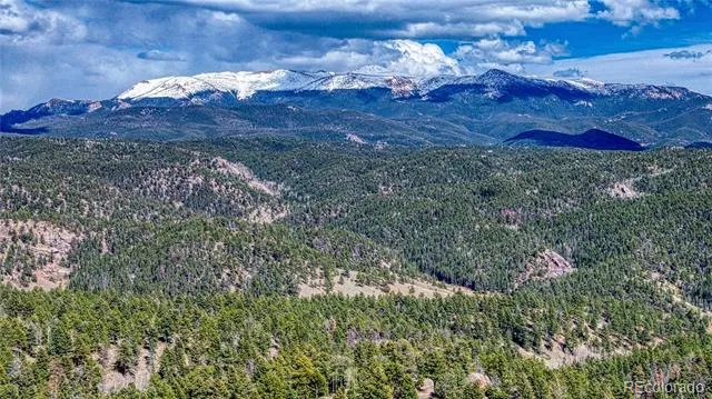 3075 Mountain Estates Road Florissant, CO 80816