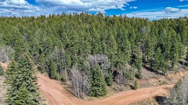 3075 Mountain Estates Road Florissant, CO 80816