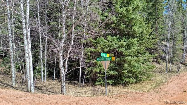 3075 Mountain Estates Road Florissant, CO 80816