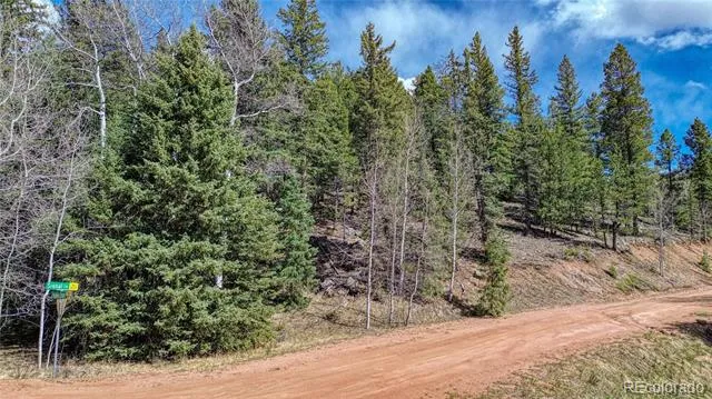 3075 Mountain Estates Road Florissant, CO 80816
