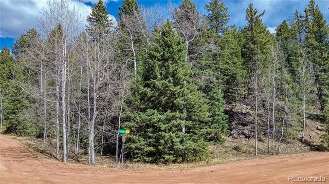 3075 Mountain Estates Road Florissant, CO 80816