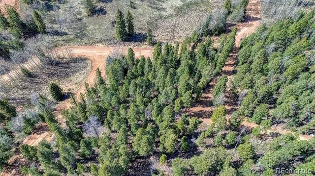 3075 Mountain Estates Road Florissant, CO 80816